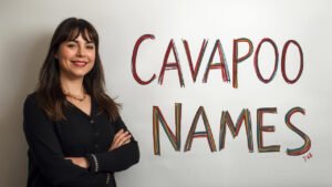 cavapoo names