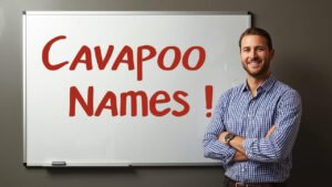 cavapoo names